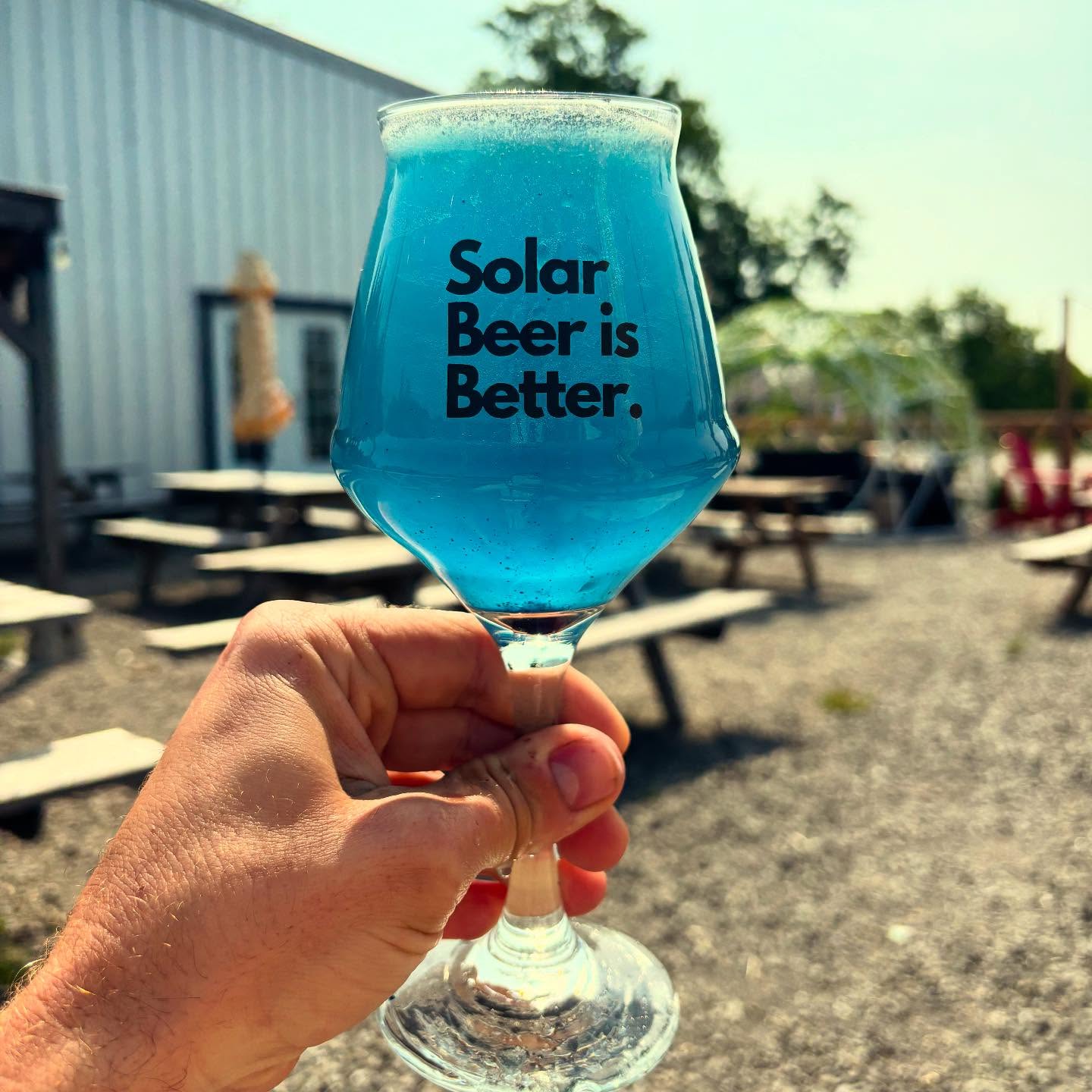 Blueberry Lavender Saison (750mL) - The Solar Beer Project