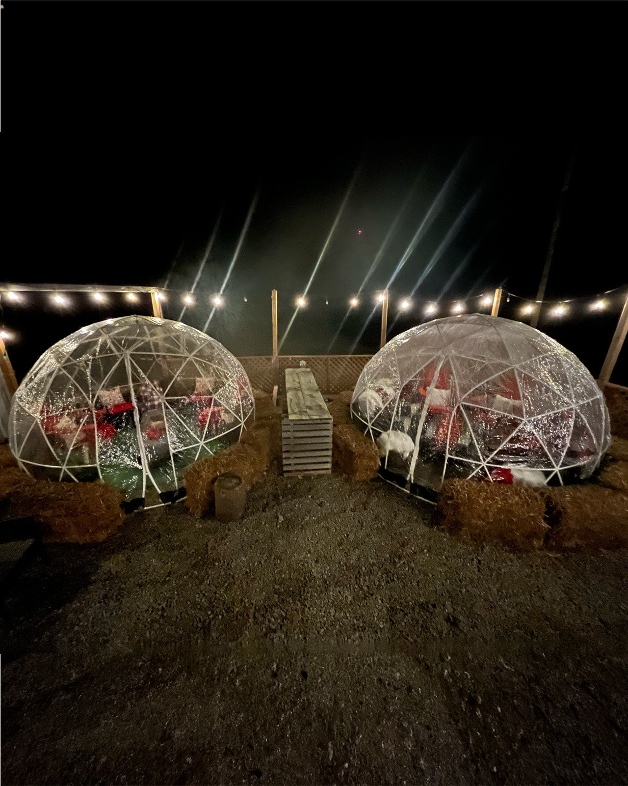 Dome Experience - Winter Wonderland